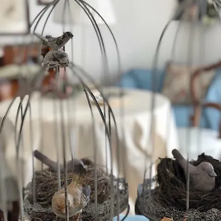 Il Nido Bed & Breakfast